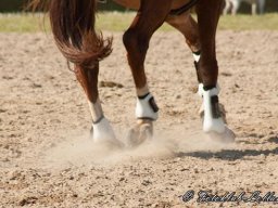 img-98591-568